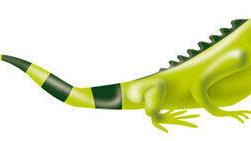 Ecopetrol announces the dates for the publication of its third quarter of 2025 earnings report and conference call